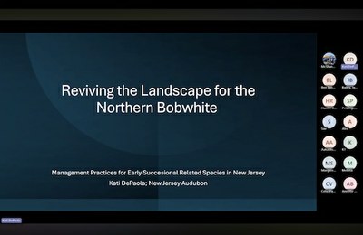 Wildlife Wednesdays Webinar Series: Northern Bobwhite Quail Ecology & Conservation