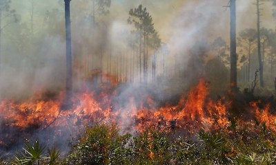 Southeast FireMap Academic Publications