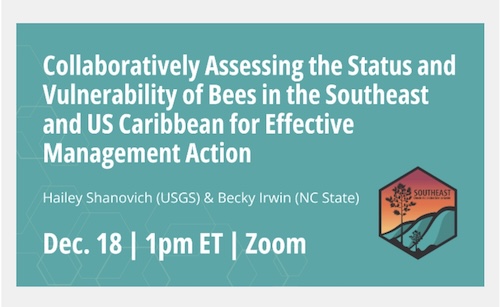 Dec. 18 Rescheduled Webinar: Assessing At-Risk Bee Species for Proactive Management
