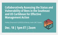 Dec. 18 Rescheduled Webinar: Assessing At-Risk Bee Species for Proactive Management