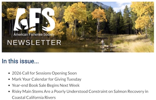 AFS Newsletter Nov 2025