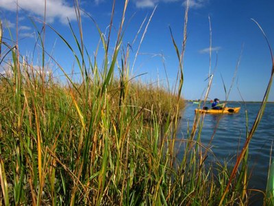 NatureServe Enhances LandScope Chesapeake Conservation Tool with New Data and Content