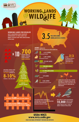 NRCS, Landowners Improve Habitat for At-risk Species