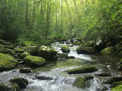 Webinar on Riparian Restoration Tool showcases Appalachian LCC Science