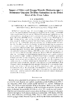 Schloesser et al Detroit River.pdf