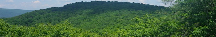 Banner for the Forests and Grasslands Systems Work Space