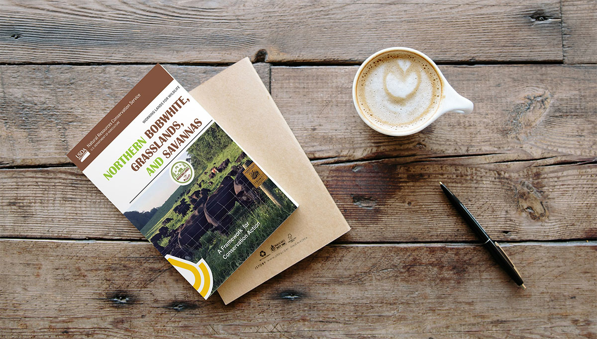 Working Lands for Wildlife Cover of Grassland and Savannas Framework