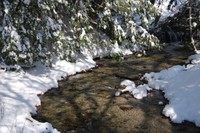 Northeast Cold Water Fish Habitat Vulnerability Assessment